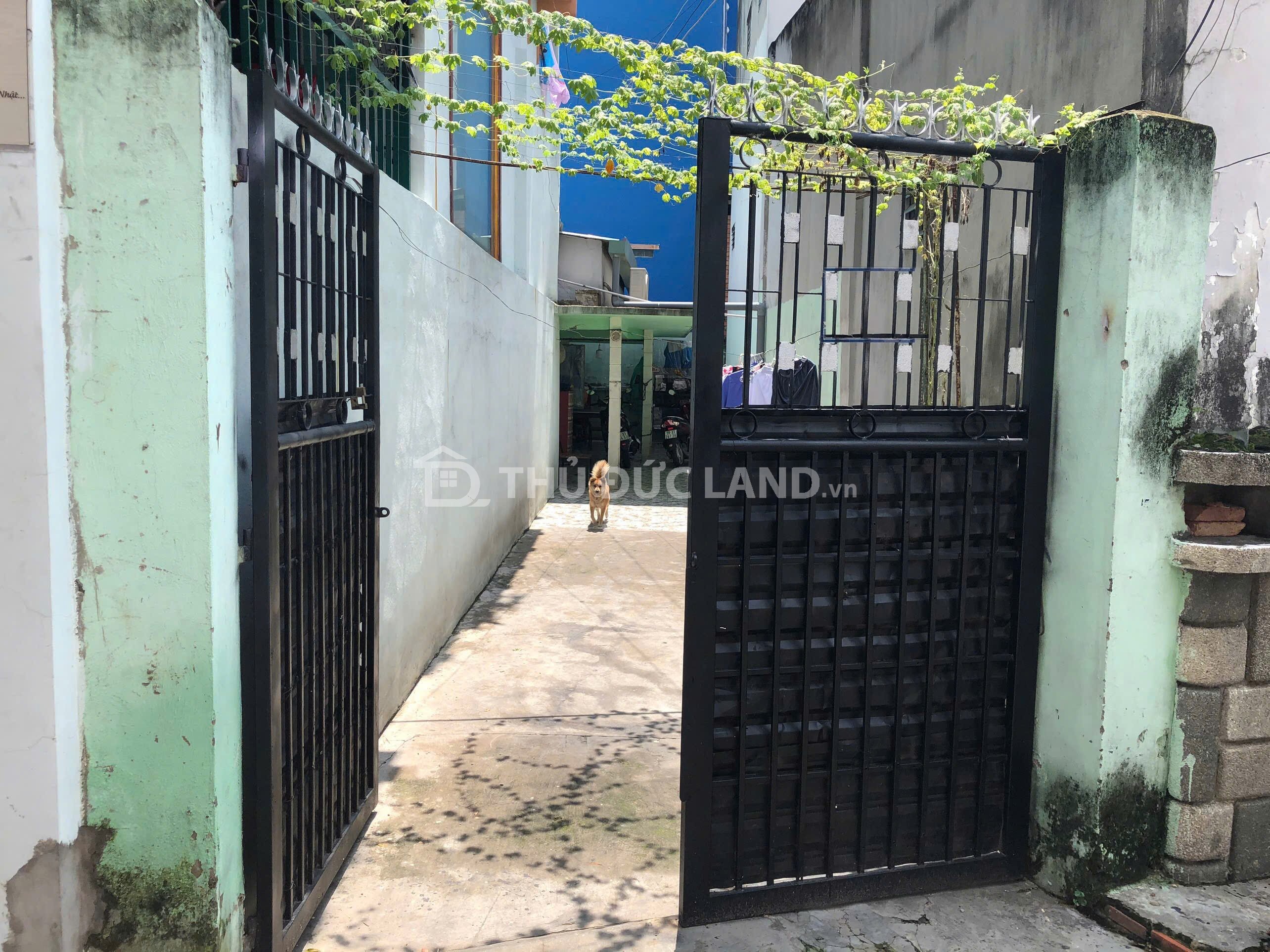 Bán nhà hẻm Trường Thọ – Đặng Văn Bi, hẻm xe tải, diện tích 122.6m² (8m x 15.3m) phù hợp ở
