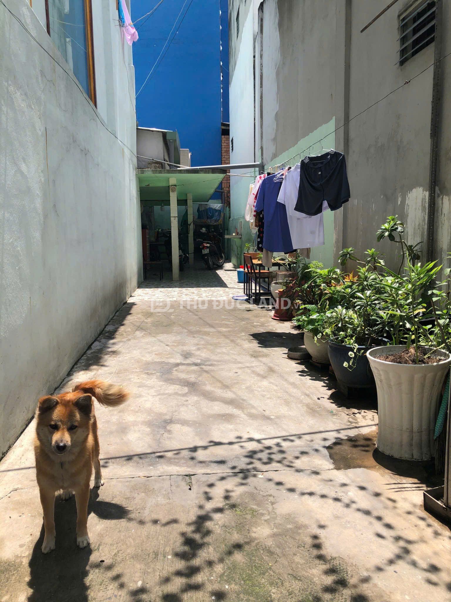 Bán nhà hẻm Trường Thọ – Đặng Văn Bi, hẻm xe tải, diện tích 122.6m² (8m x 15.3m) phù hợp ở - Ảnh 2